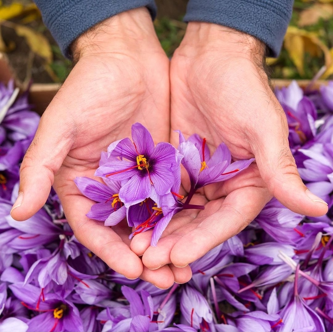 HEA&CO/ LA CASA DE LOS AROMAS, S.L APRECOIN