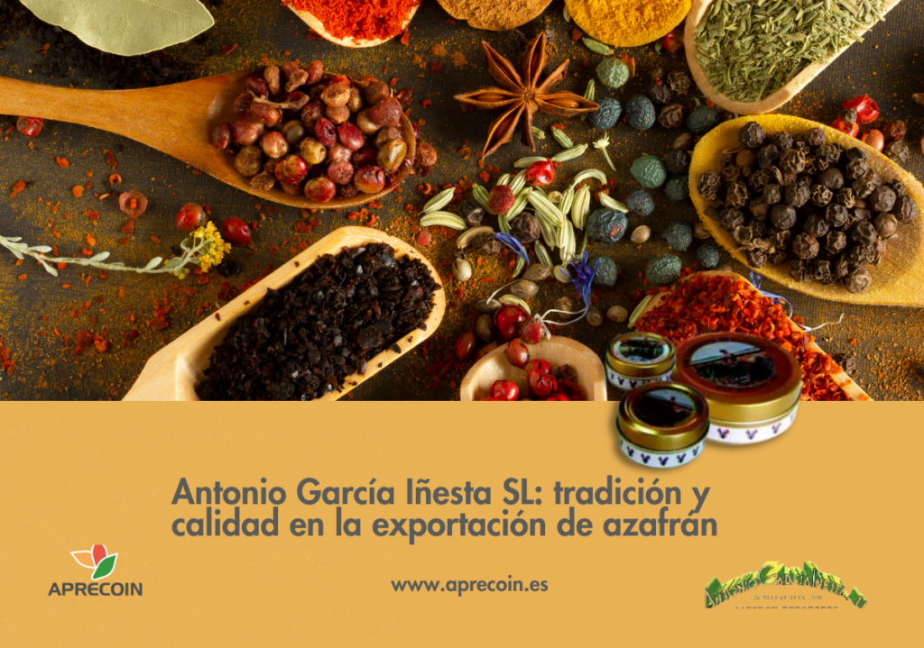 García Iñesta - Aprecoin