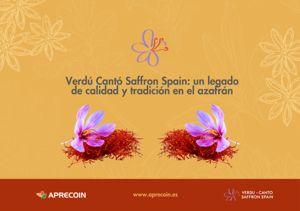 Verdú Cantó Saffron Spain